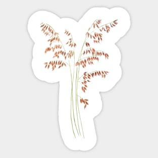 smooth brome grass seed head watercolor Sticker